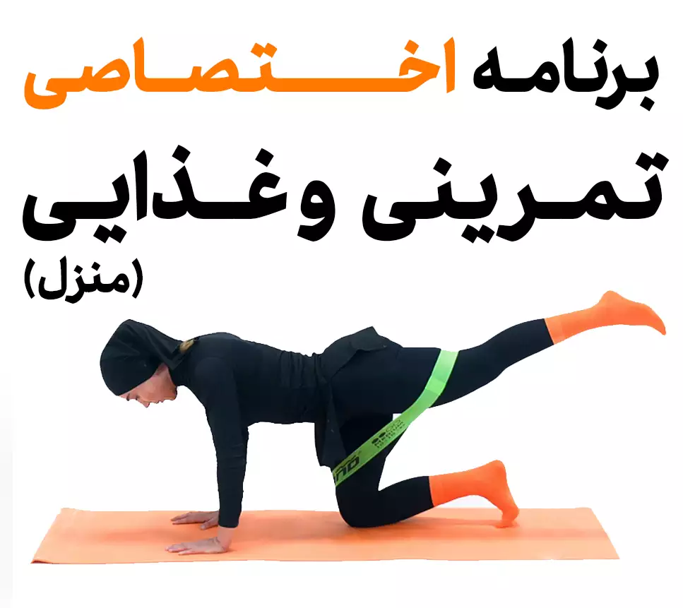 دریافت برنامه تمرینی و غذایی منزل دریافت برنامه تمرینی و غذایی